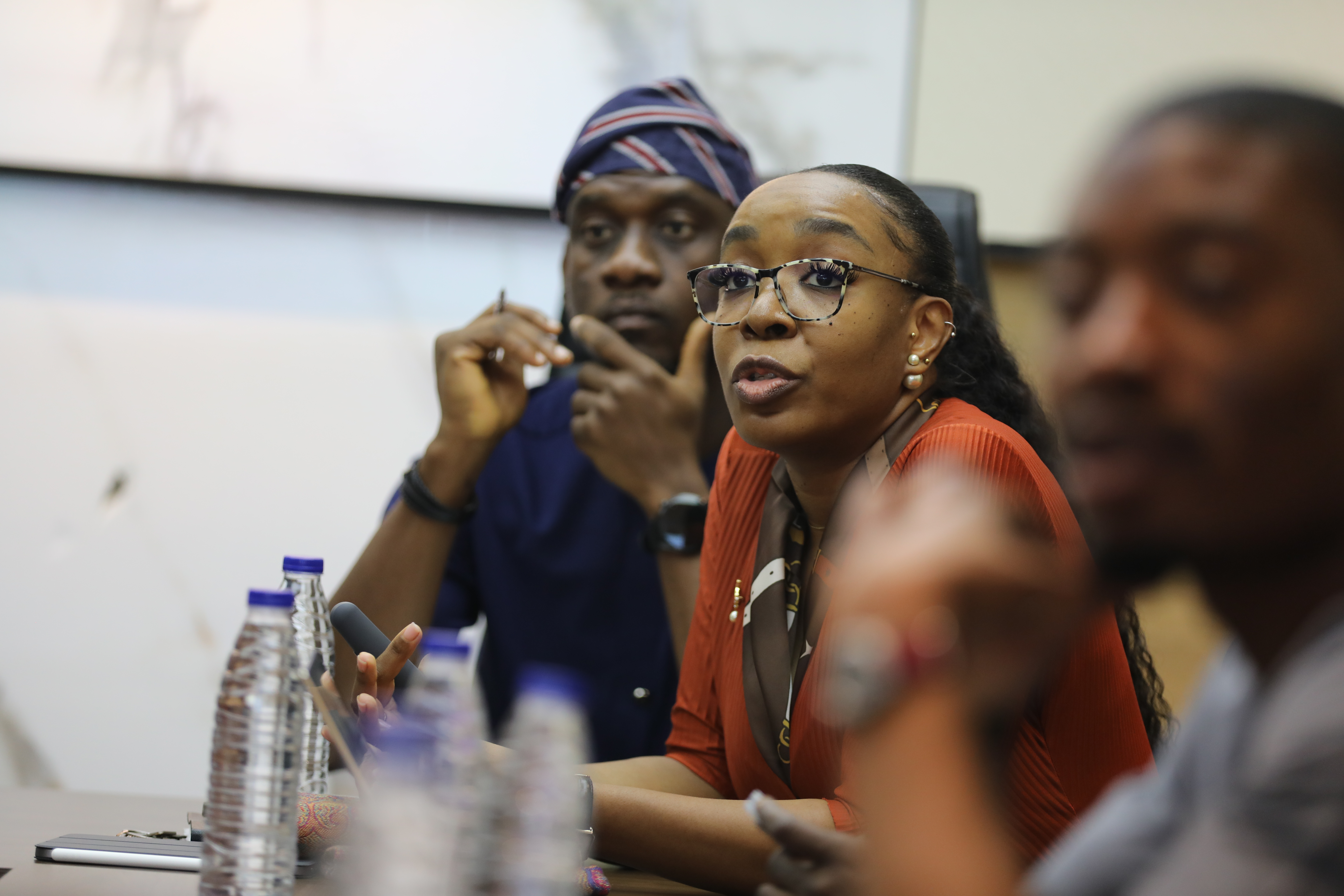 Odegua Ofoegbu, Donor Coordination and Private Sector Specialist